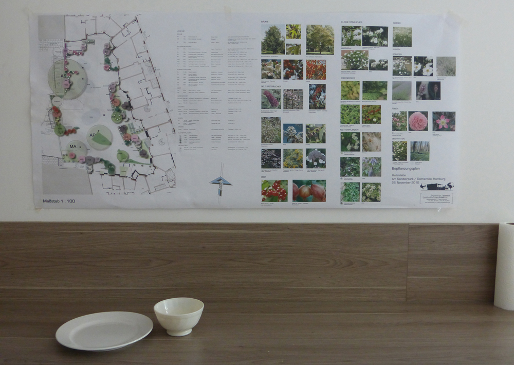 Residents continue to collaborate on the changing design of the shared garden – these plans were on display in the common house 